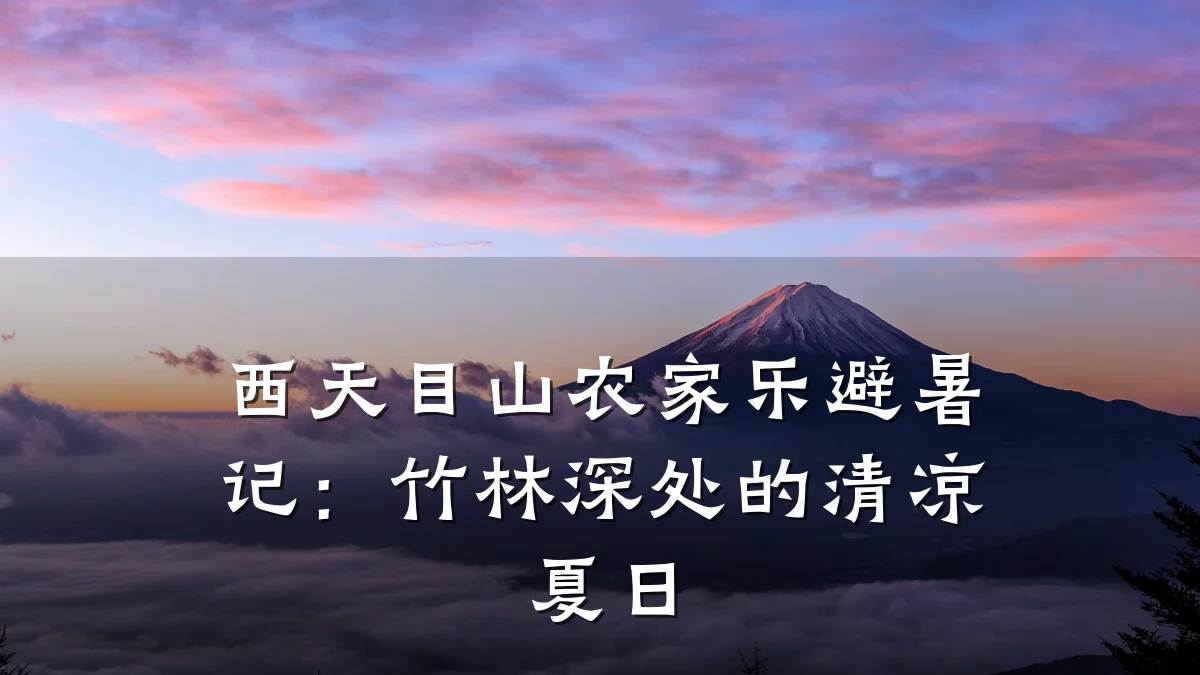 西天目山农家乐避暑记:竹林深处的清凉夏日