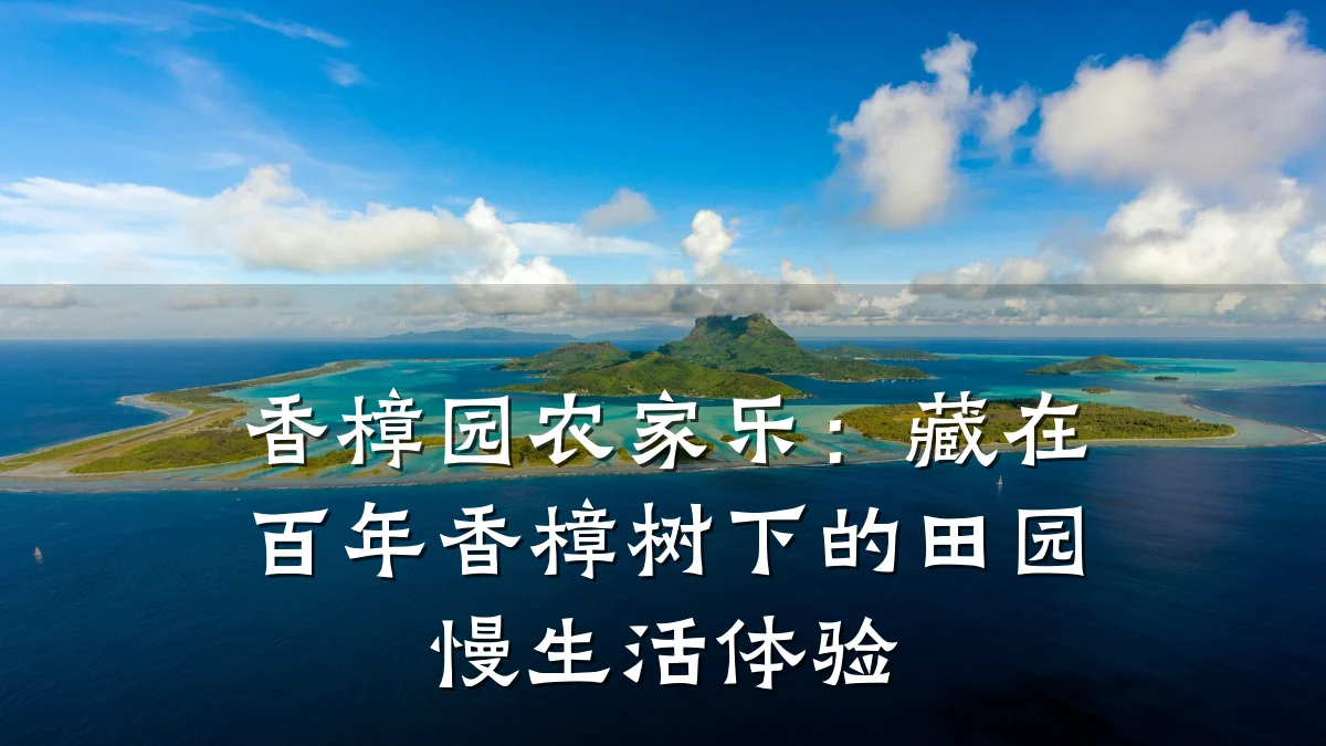 香樟园农家乐:藏在百年香樟树下的田园慢生活体验