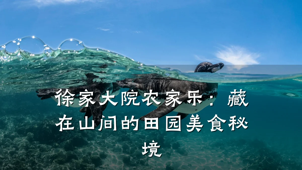 徐家大院农家乐:藏在山间的田园美食秘境