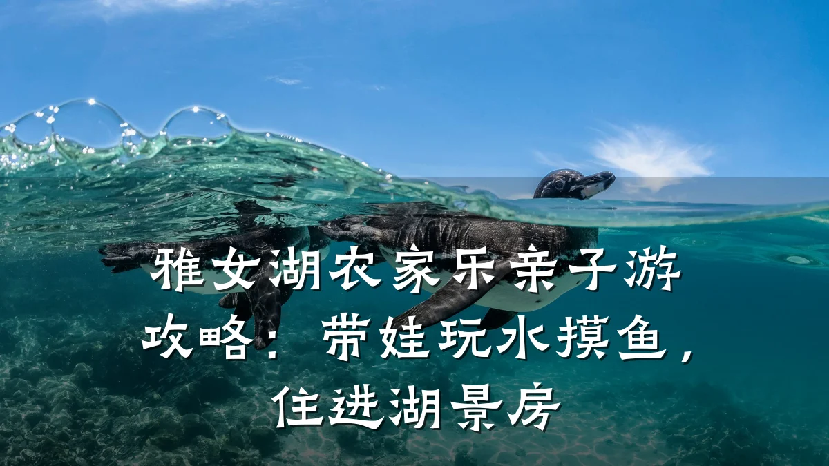 雅女湖农家乐亲子游攻略:带娃玩水摸鱼,住进湖景房