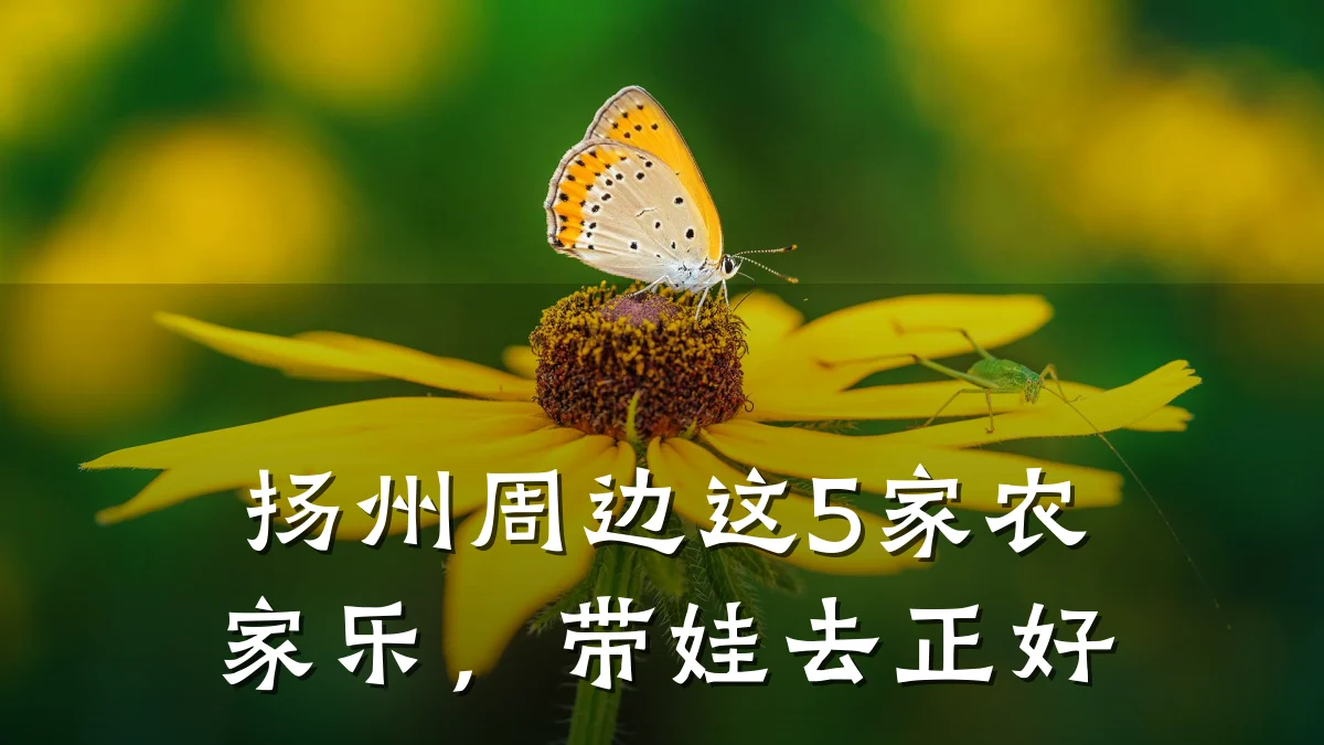 扬州周边这5家农家乐,带娃去正好