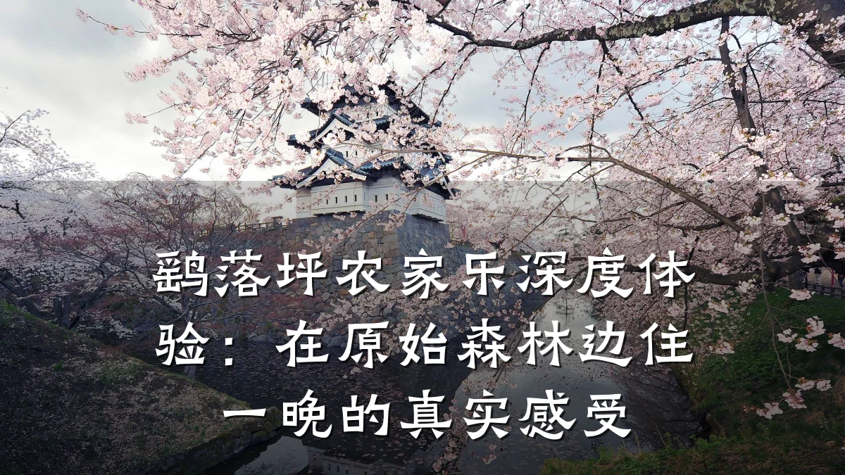 鹞落坪农家乐深度体验:在原始森林边住一晚的真实感受