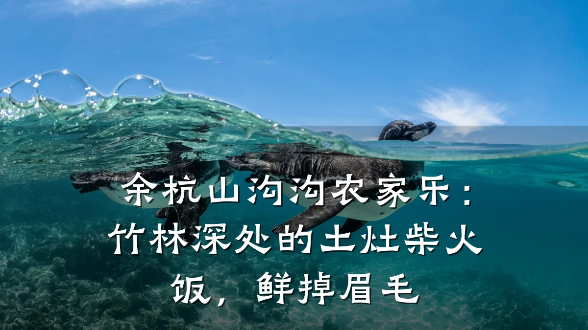余杭山沟沟农家乐:竹林深处的土灶柴火饭,鲜掉眉毛