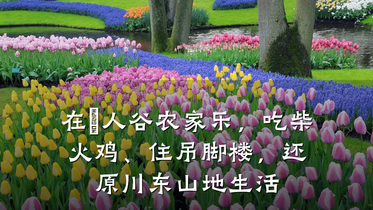 在賨人谷农家乐,吃柴火鸡、住吊脚楼,还原川东山地生活