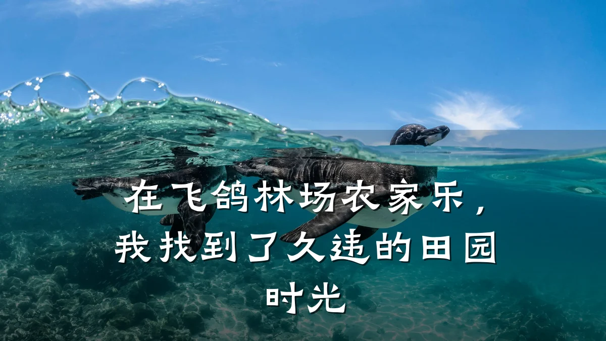 在飞鸽林场农家乐,我找到了久违的田园时光