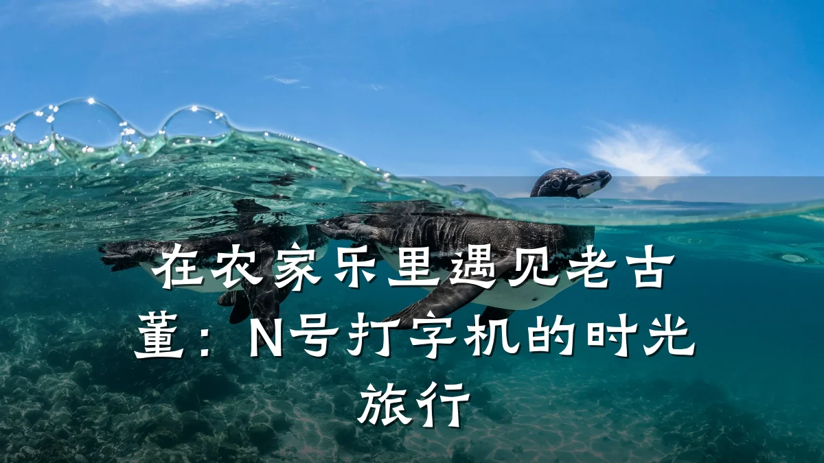 在农家乐里遇见老古董:N号打字机的时光旅行