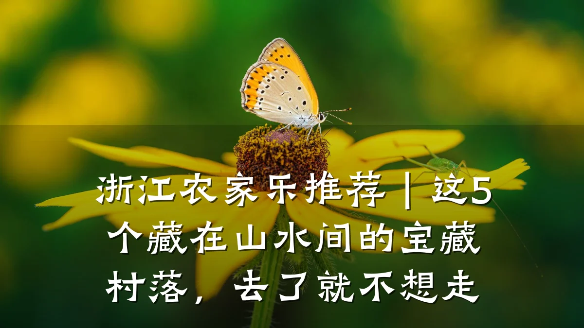 浙江农家乐推荐|这5个藏在山水间的宝藏村落,去了就不想走