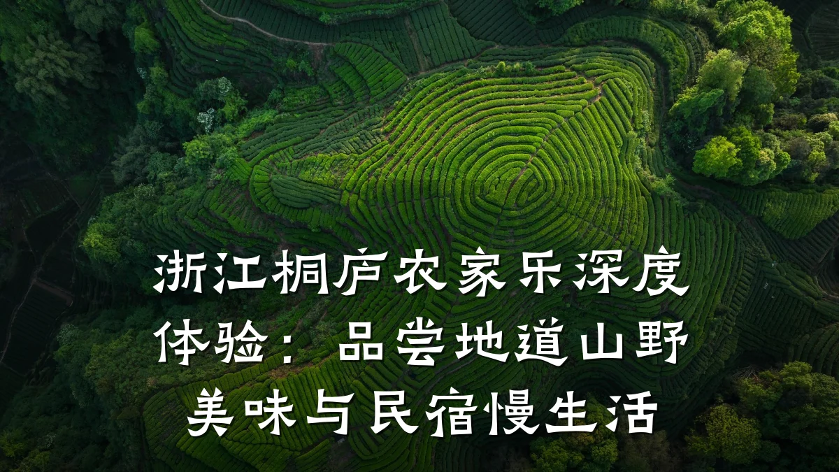 浙江桐庐农家乐深度体验:品尝地道山野美味与民宿慢生活