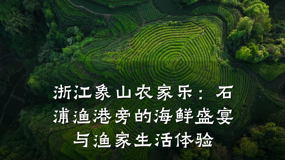 浙江象山农家乐:石浦渔港旁的海鲜盛宴与渔家生活体验