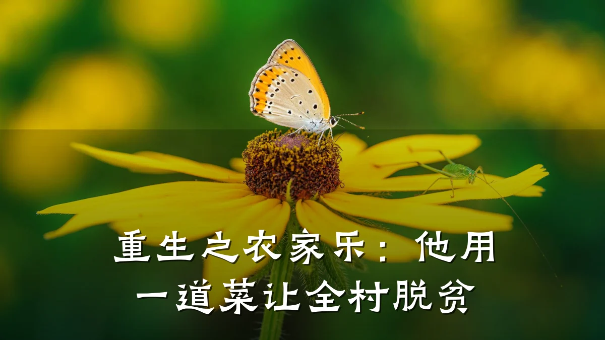重生之农家乐:他用一道菜让全村脱贫