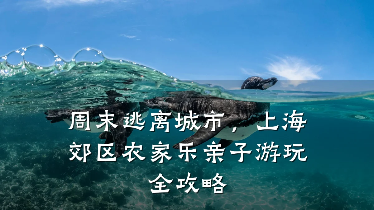 周末逃离城市,上海郊区农家乐亲子游玩全攻略