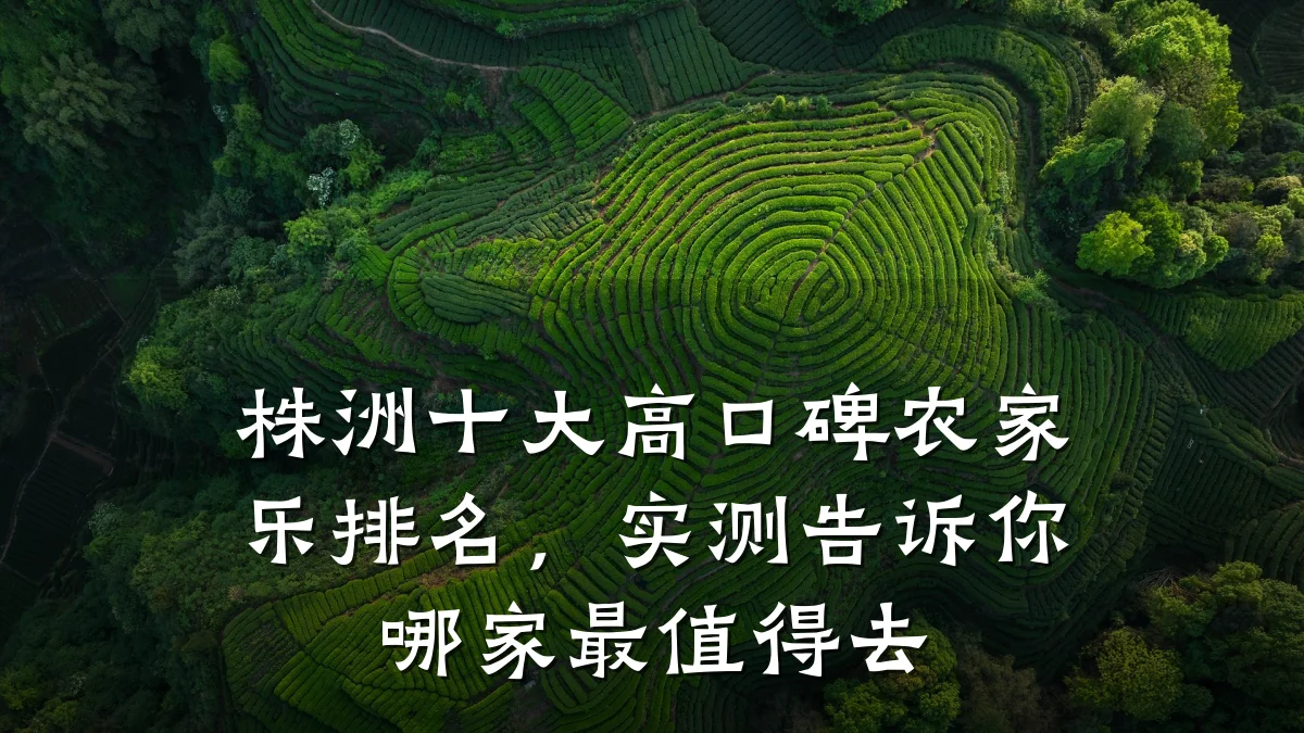 株洲十大高口碑农家乐排名,实测告诉你哪家最值得去