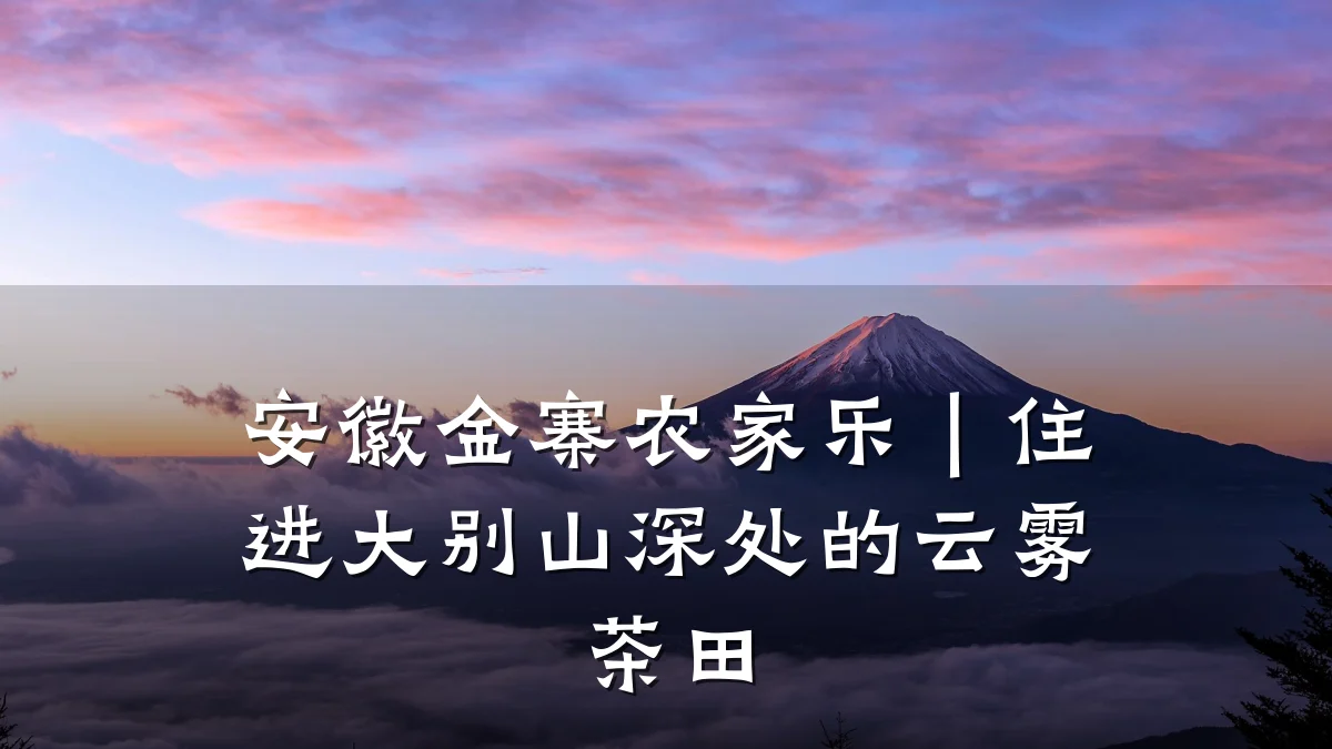 安徽金寨农家乐|住进大别山深处的云雾茶田