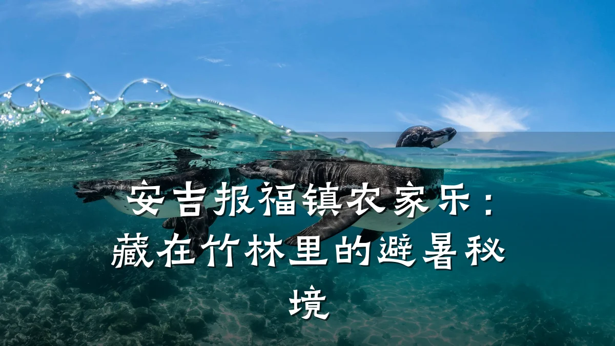 安吉报福镇农家乐:藏在竹林里的避暑秘境