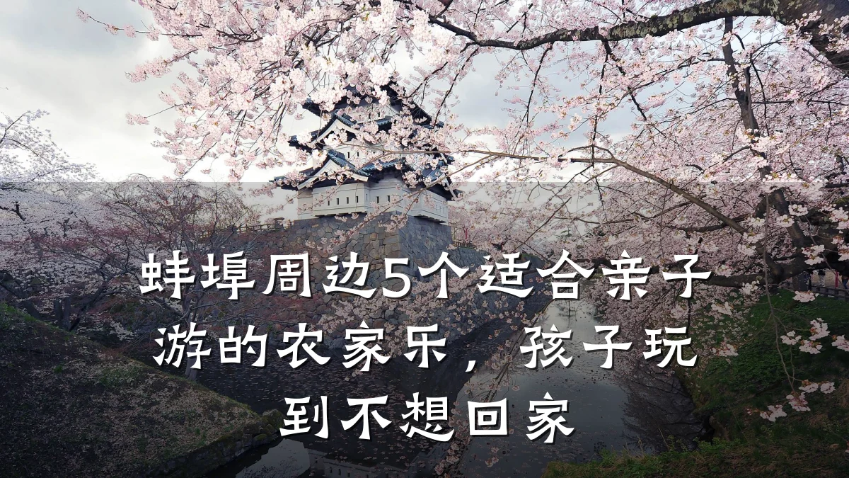 蚌埠周边5个适合亲子游的农家乐,孩子玩到不想回家