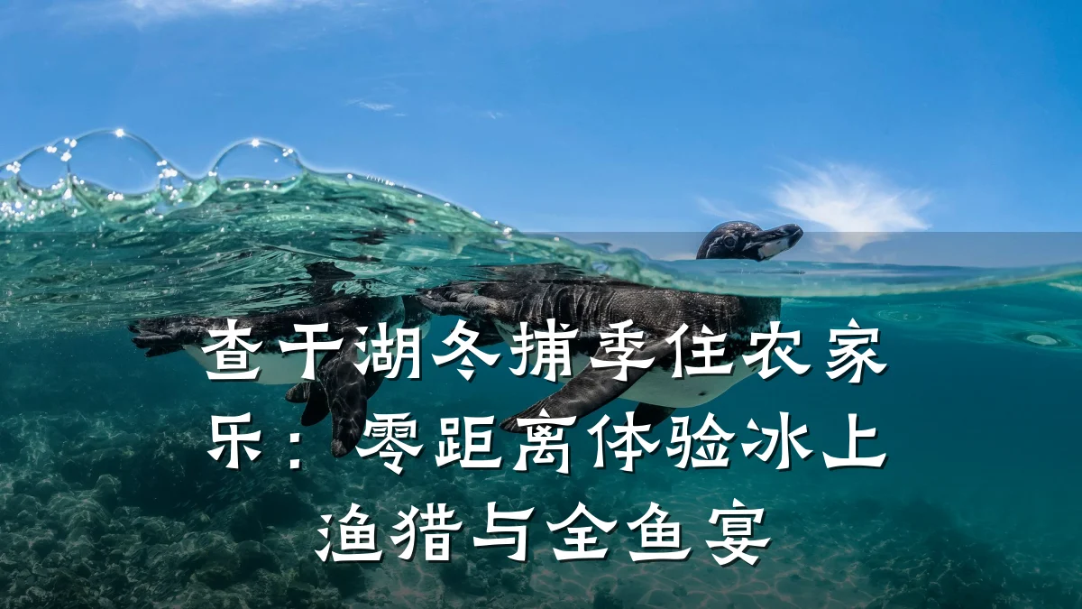 查干湖冬捕季住农家乐：零距离体验冰上渔猎与全鱼宴