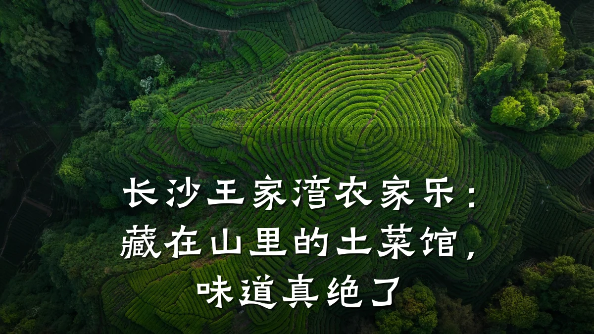 长沙王家湾农家乐:藏在山里的土菜馆,味道真绝了