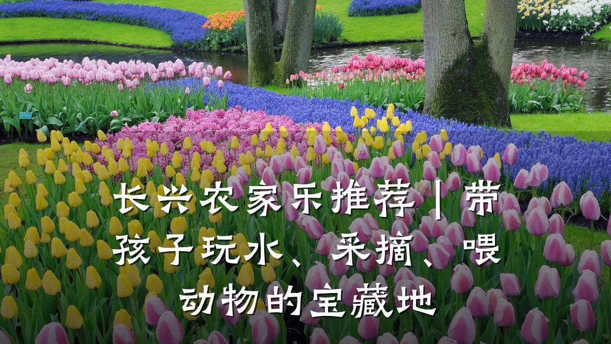长兴农家乐推荐|带孩子玩水、采摘、喂动物的宝藏地
