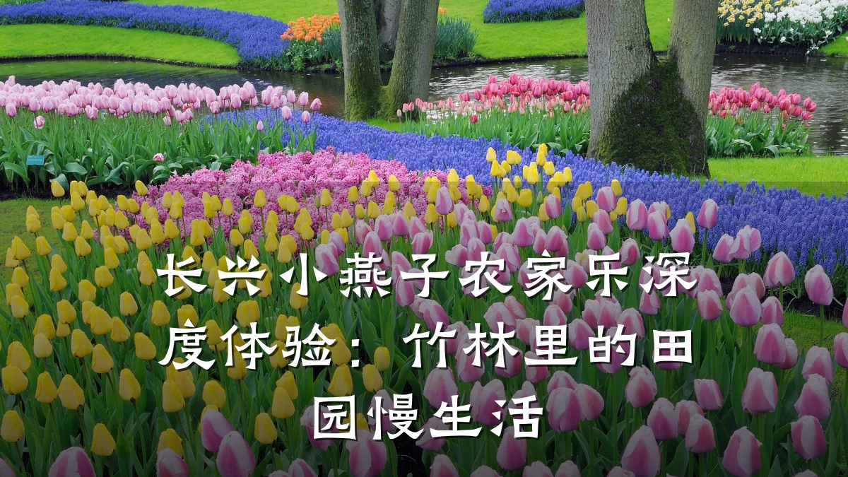 长兴小燕子农家乐深度体验:竹林里的田园慢生活