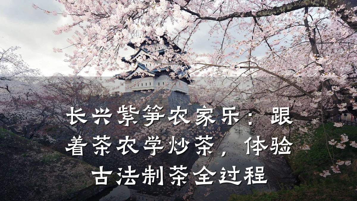 长兴紫笋农家乐:跟着茶农学炒茶,体验古法制茶全过程