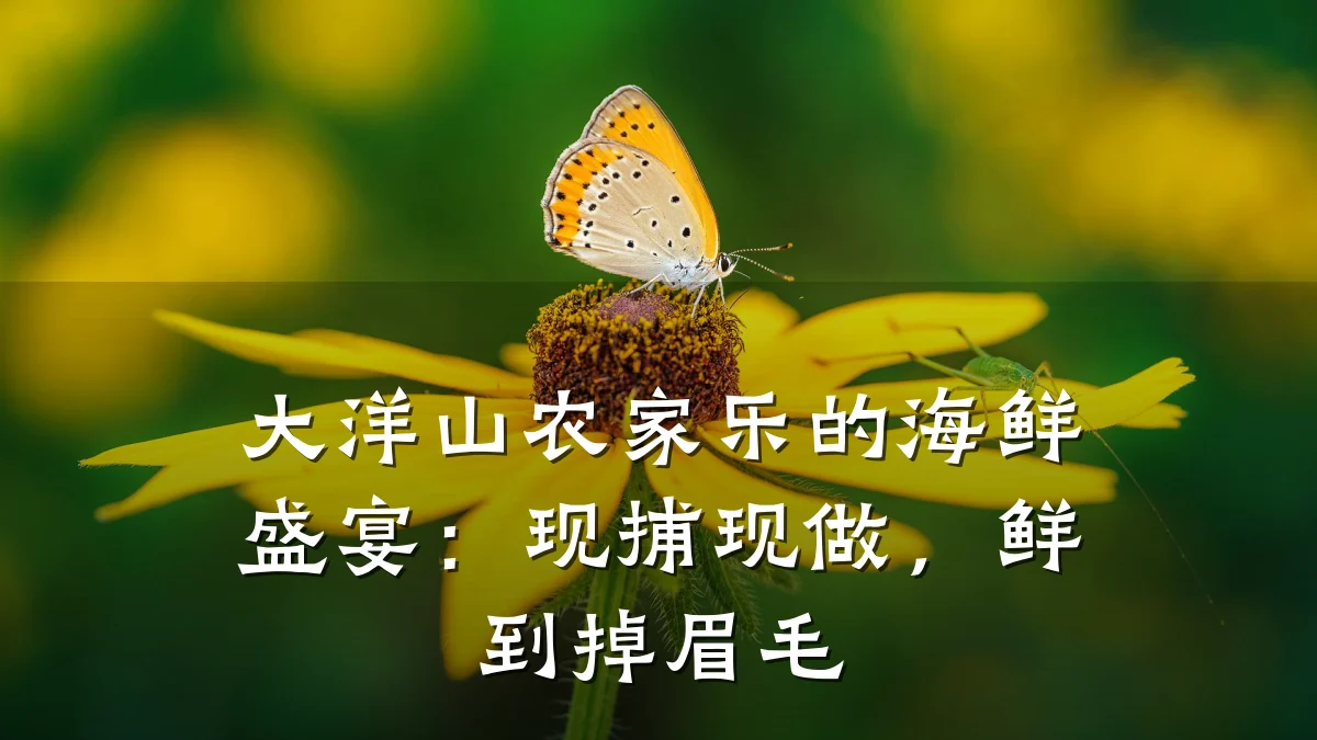 大洋山农家乐的海鲜盛宴:现捕现做,鲜到掉眉毛