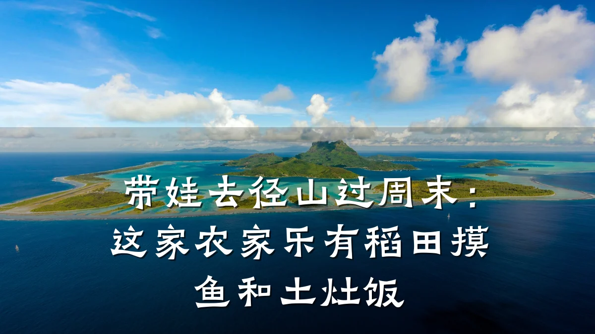 带娃去径山过周末:这家农家乐有稻田摸鱼和土灶饭