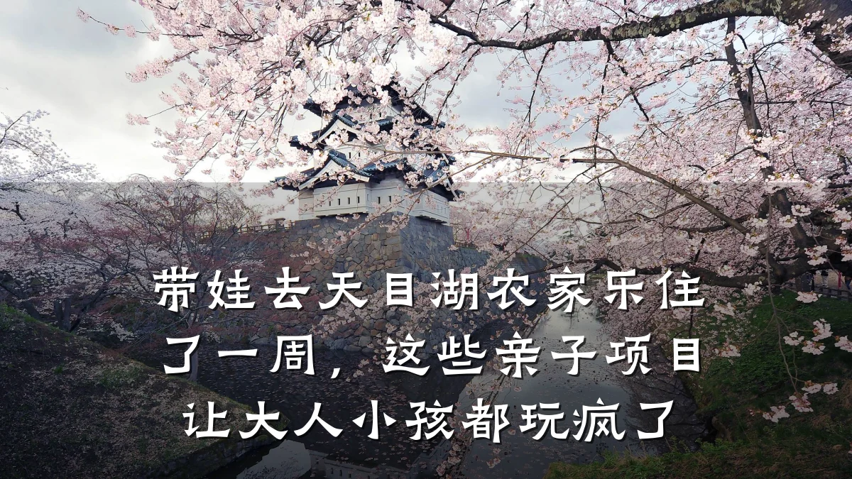 带娃去天目湖农家乐住了一周,这些亲子项目让大人小孩都玩疯了
