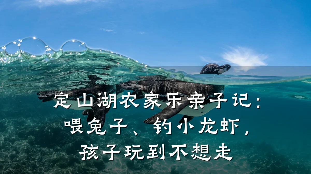 定山湖农家乐亲子记:喂兔子、钓小龙虾,孩子玩到不想走