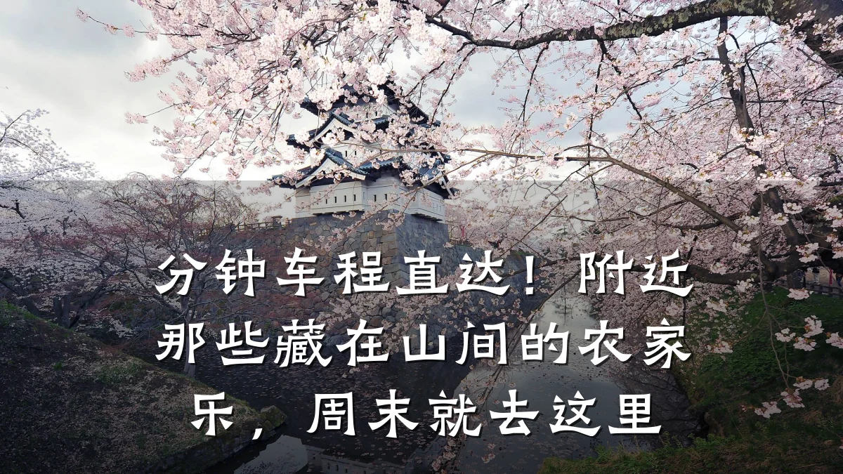分钟车程直达!附近那些藏在山间的农家乐,周末就去这里