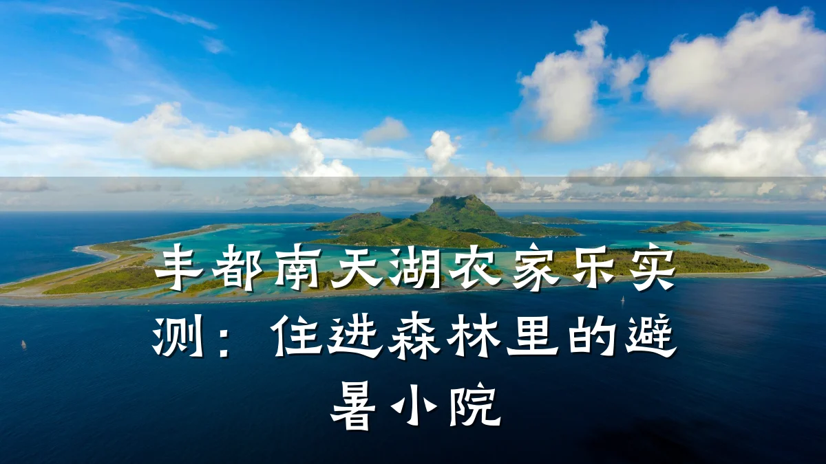 丰都南天湖农家乐实测:住进森林里的避暑小院