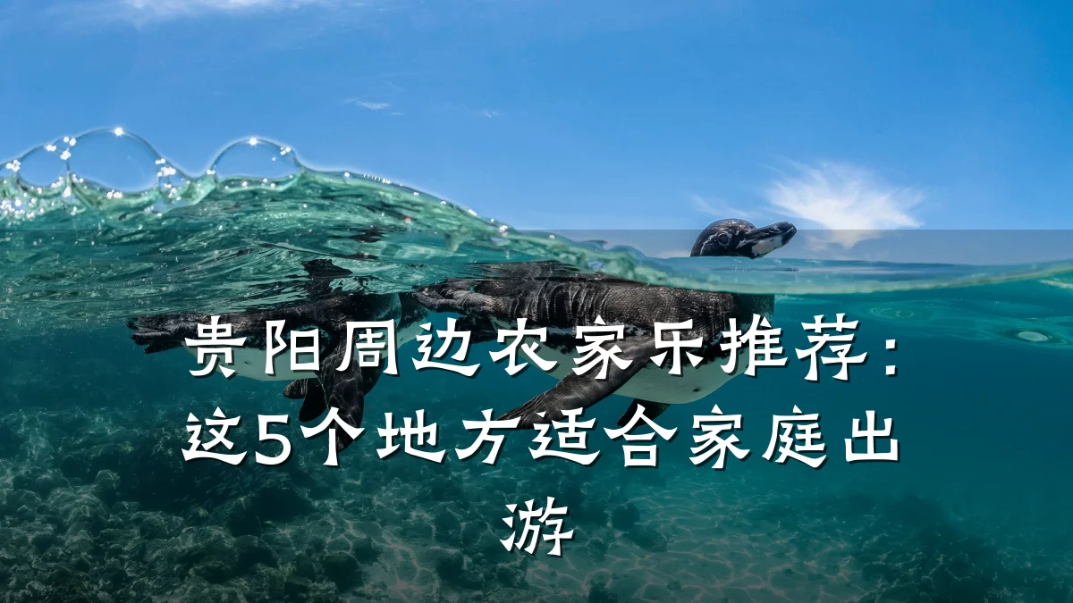 贵阳周边农家乐推荐:这5个地方适合家庭出游