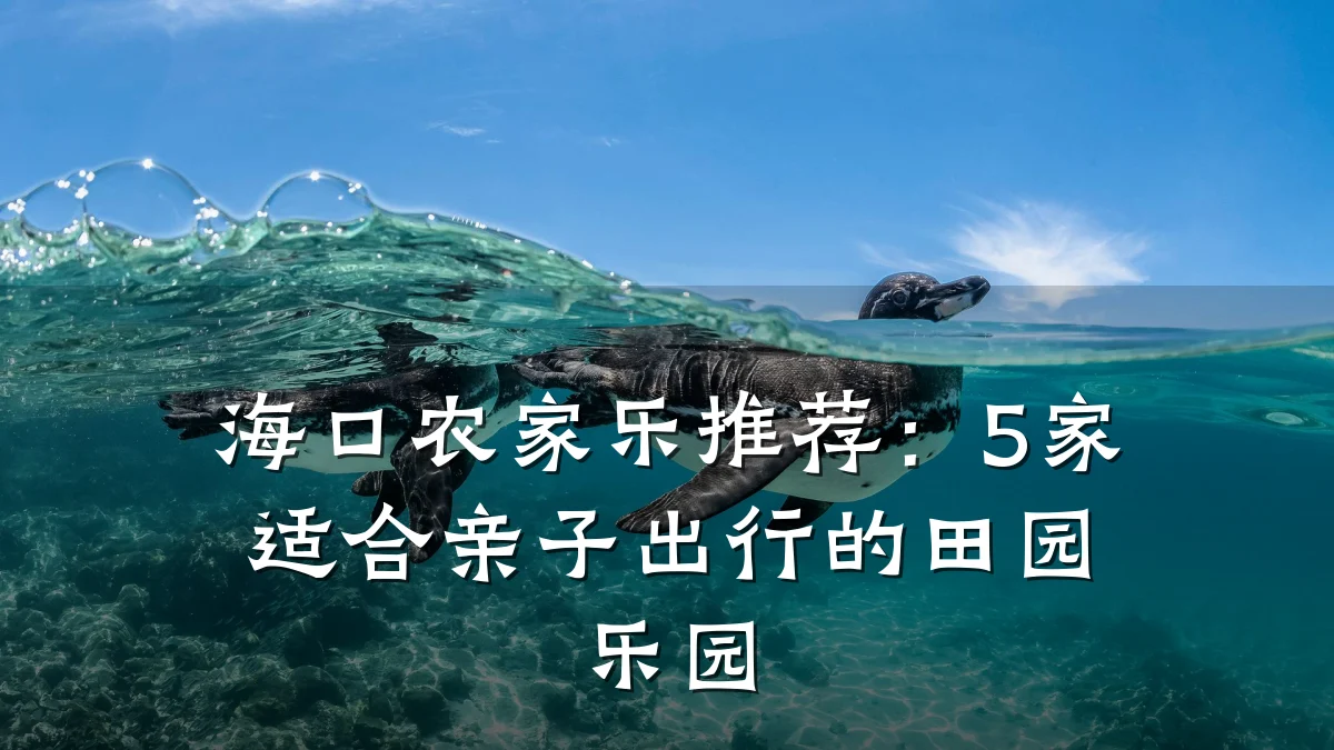 海口农家乐推荐:5家适合亲子出行的田园乐园