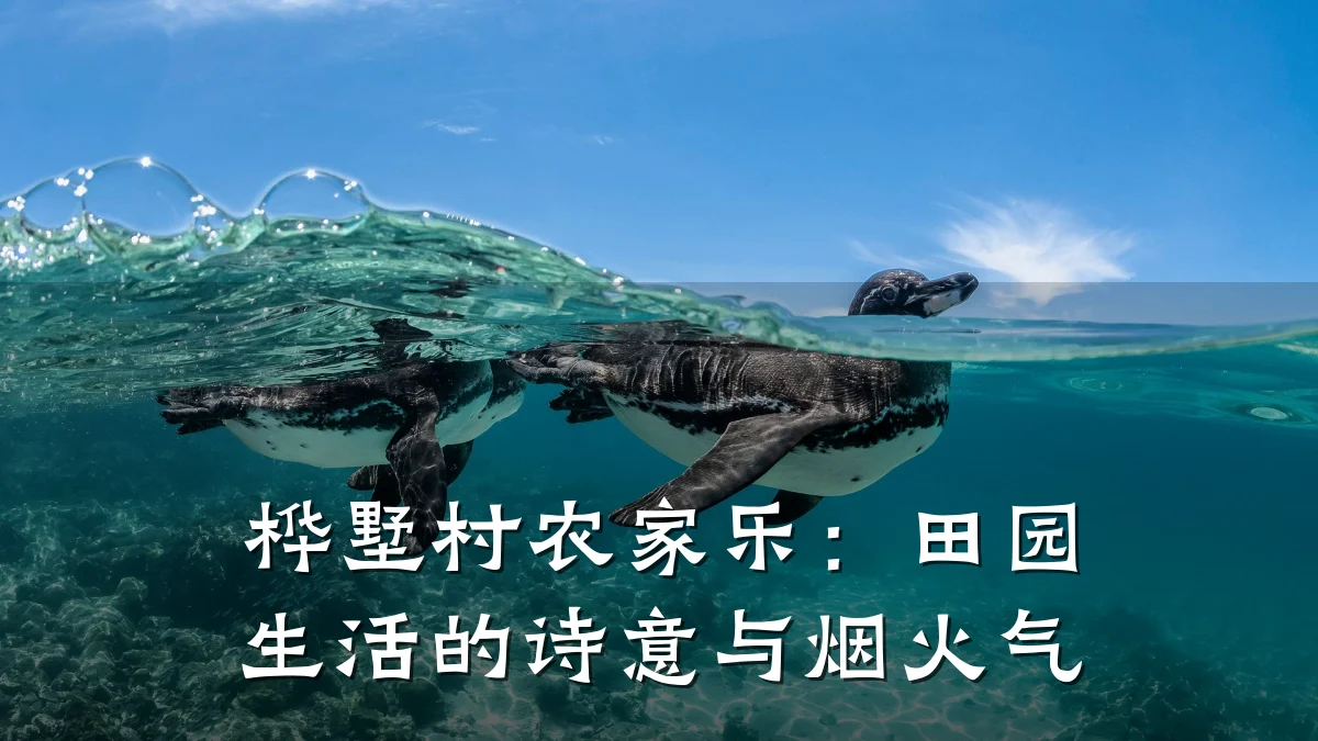 桦墅村农家乐：田园生活的诗意与烟火气