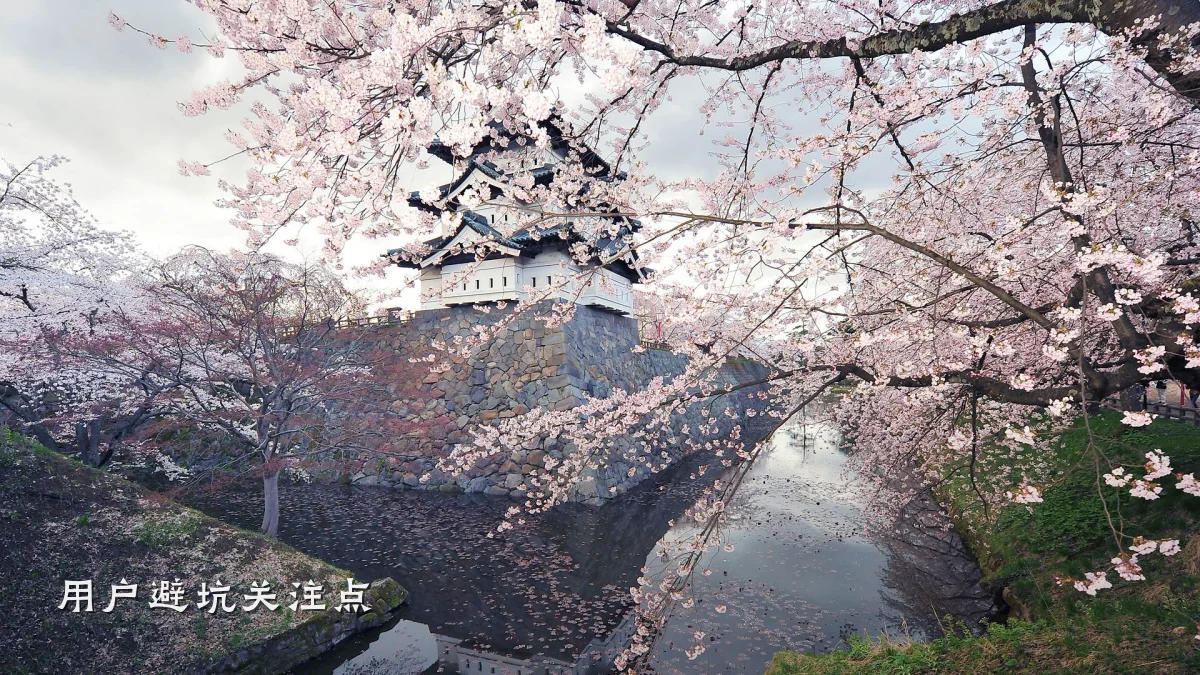 用户避坑关注点