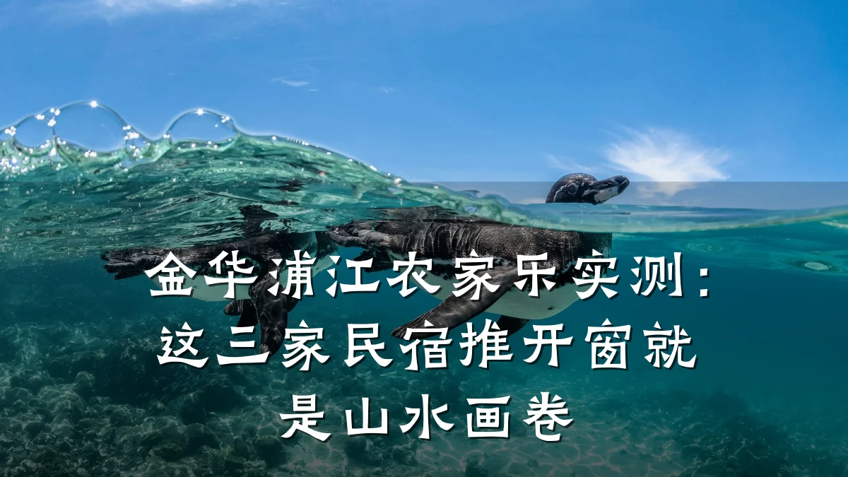 金华浦江农家乐实测:这三家民宿推开窗就是山水画卷