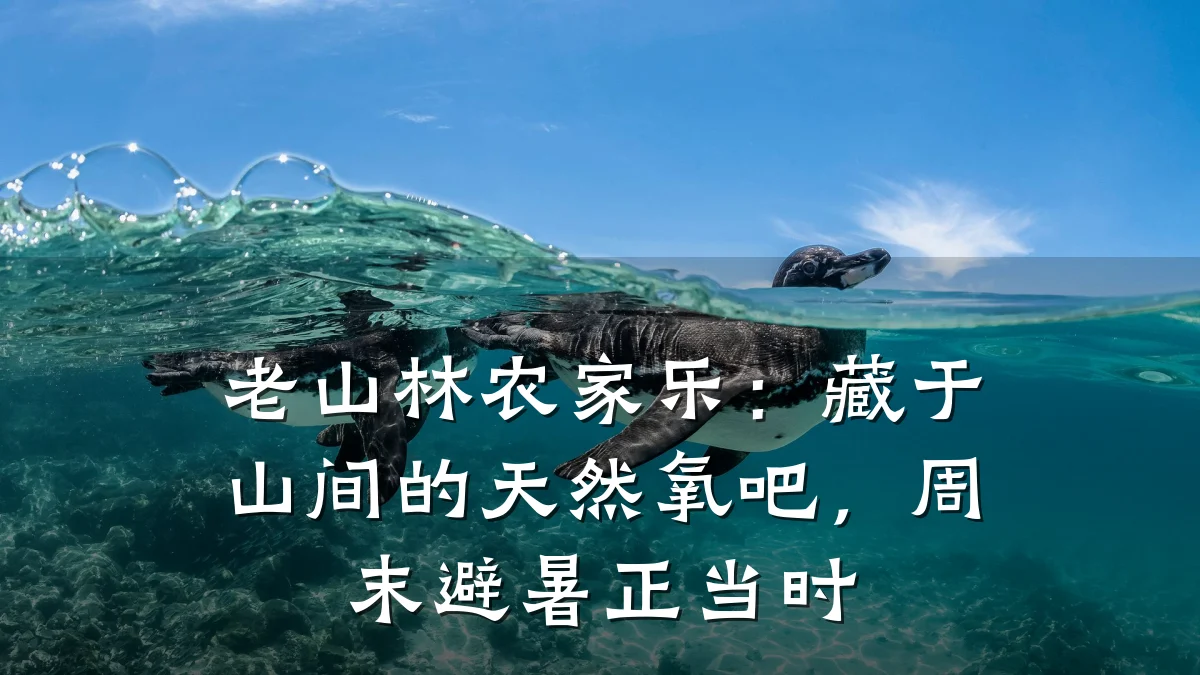 老山林农家乐：藏于山间的天然氧吧，周末避暑正当时