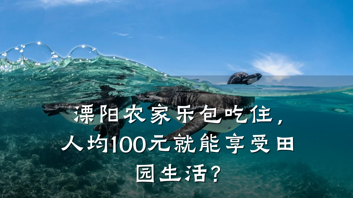 溧阳农家乐包吃住,人均100元就能享受田园生活?