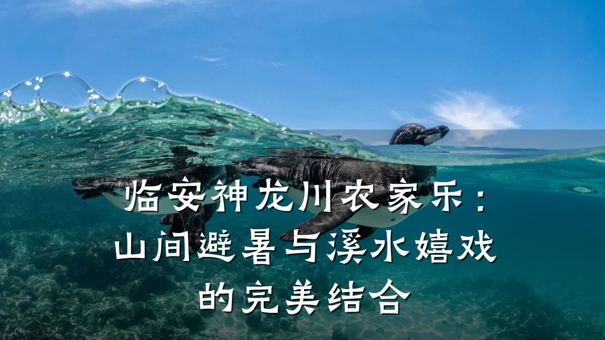临安神龙川农家乐:山间避暑与溪水嬉戏的完美结合