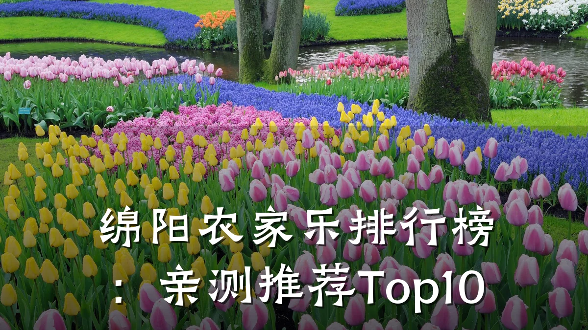 绵阳农家乐排行榜:亲测推荐Top10