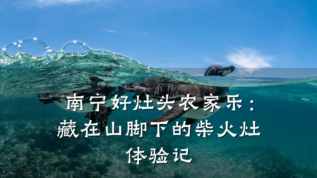 南宁好灶头农家乐:藏在山脚下的柴火灶体验记