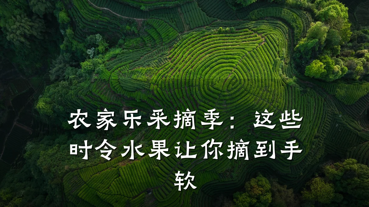 农家乐采摘季:这些时令水果让你摘到手软