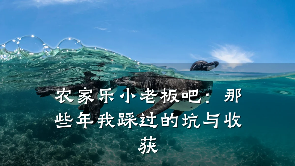 农家乐小老板吧:那些年我踩过的坑与收获