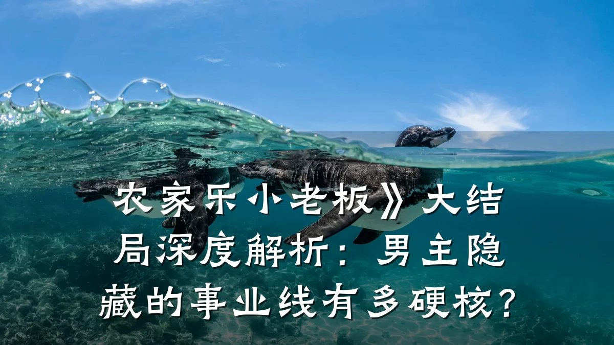 农家乐小老板》大结局深度解析:男主隐藏的事业线有多硬核?