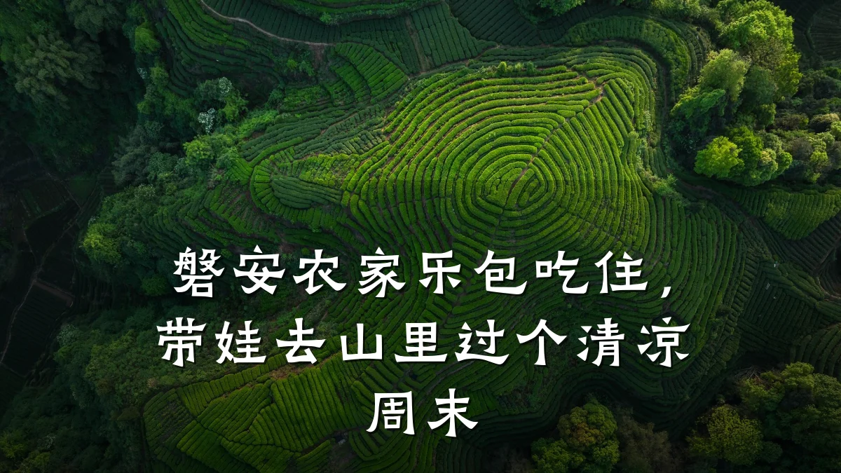 磐安农家乐包吃住,带娃去山里过个清凉周末