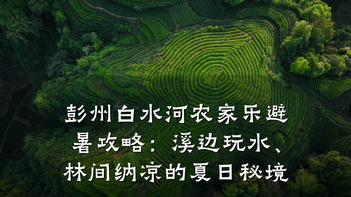 彭州白水河农家乐避暑攻略:溪边玩水、林间纳凉的夏日秘境
