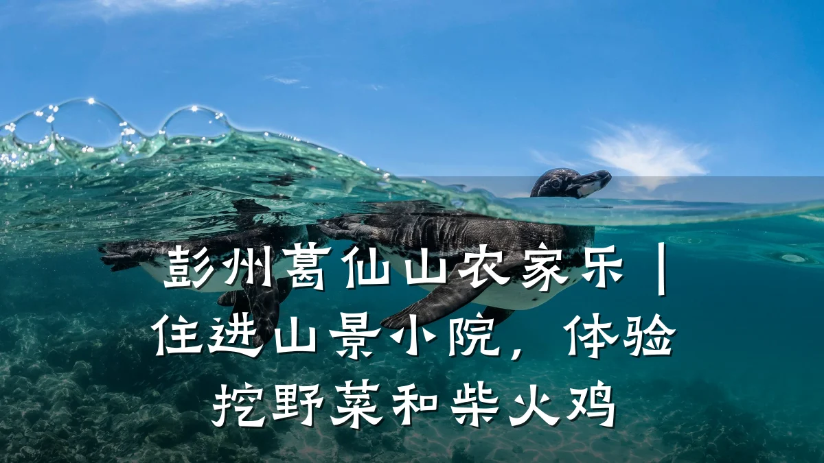 彭州葛仙山农家乐|住进山景小院,体验挖野菜和柴火鸡