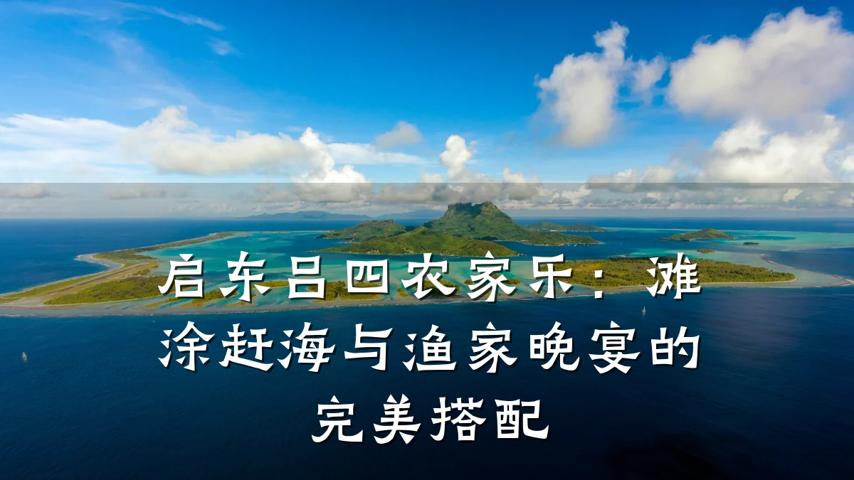 启东吕四农家乐:滩涂赶海与渔家晚宴的完美搭配