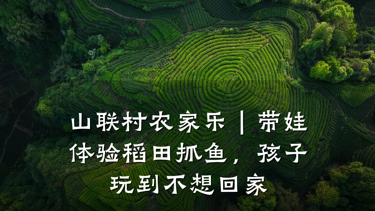 山联村农家乐|带娃体验稻田抓鱼,孩子玩到不想回家