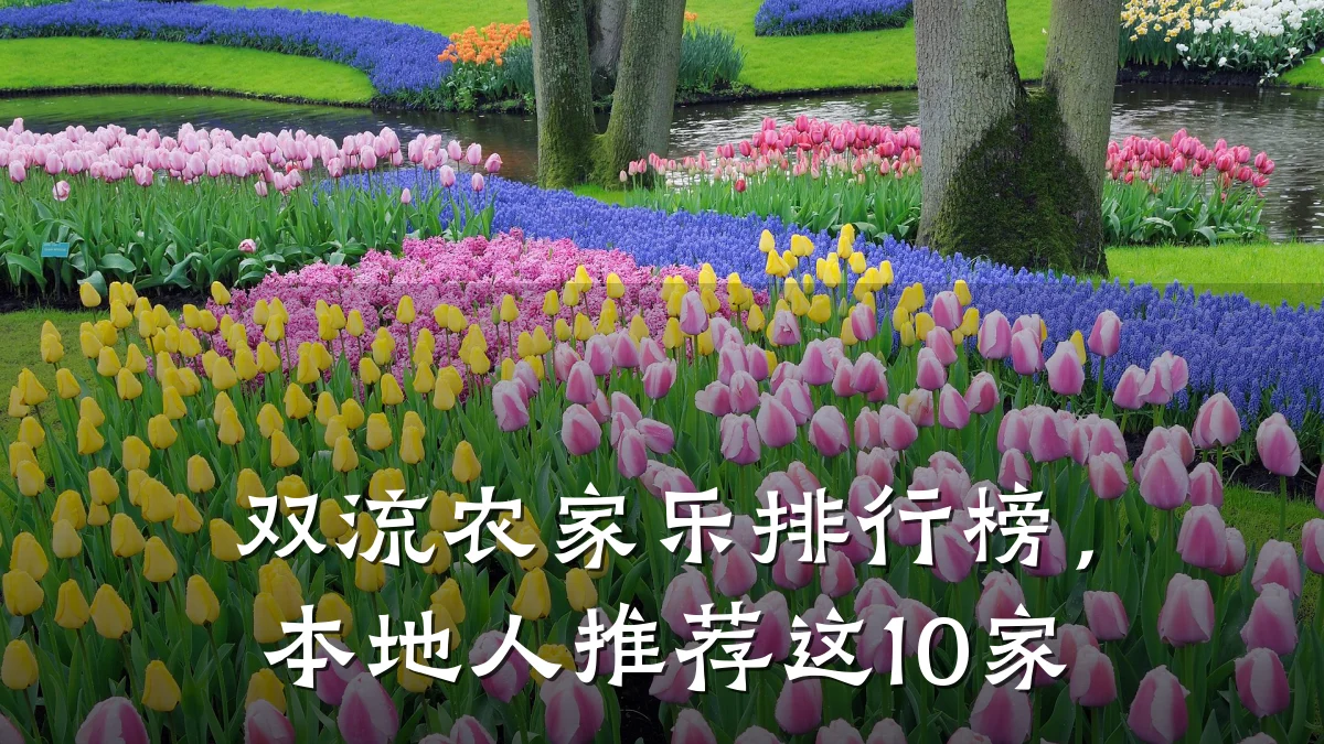 双流农家乐排行榜,本地人推荐这10家