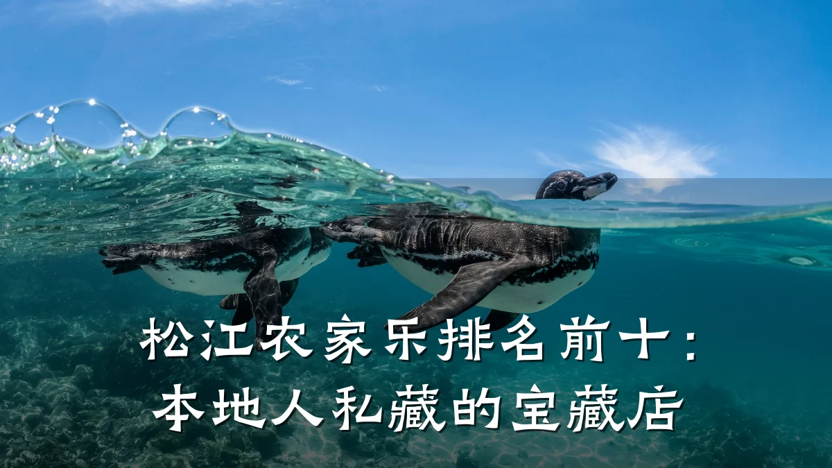 松江农家乐排名前十:本地人私藏的宝藏店